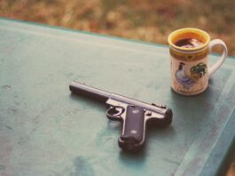 pit viper gun - Healthier Veterans Today