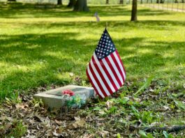 the memorial field - Healthier Veterans Today