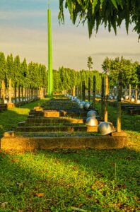 the memorial field - Healthier Veterans Today