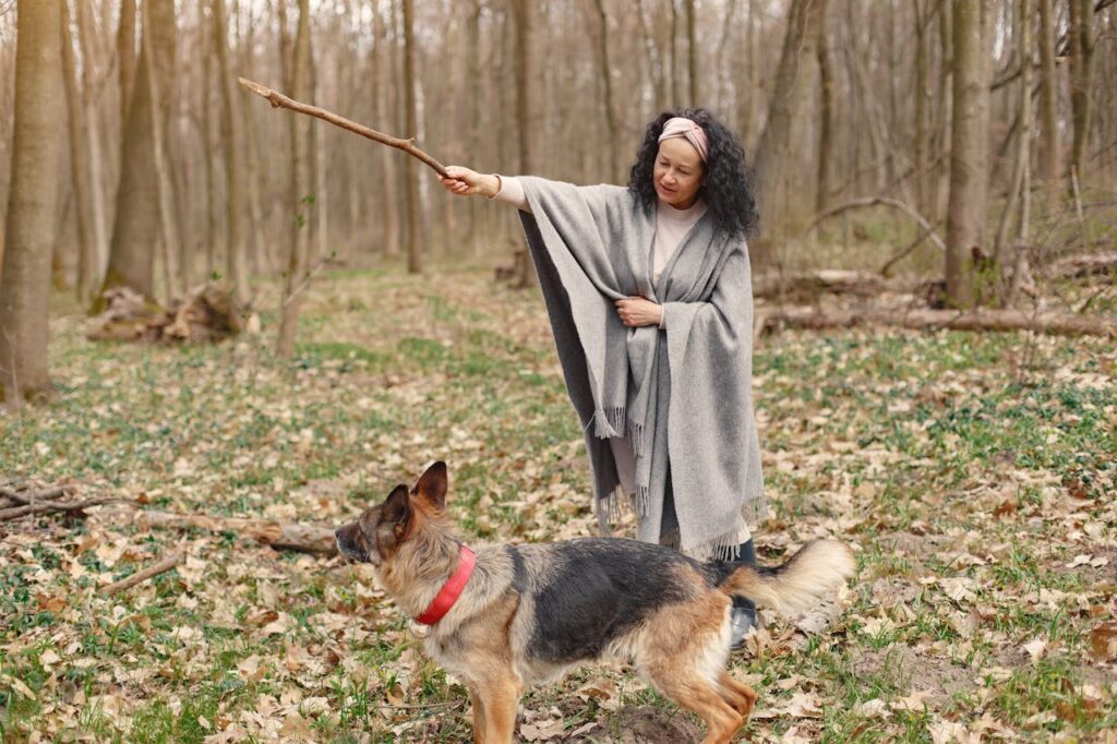 Photo of Woman Training Her Dog With a Stick // Healthier Veterans Today