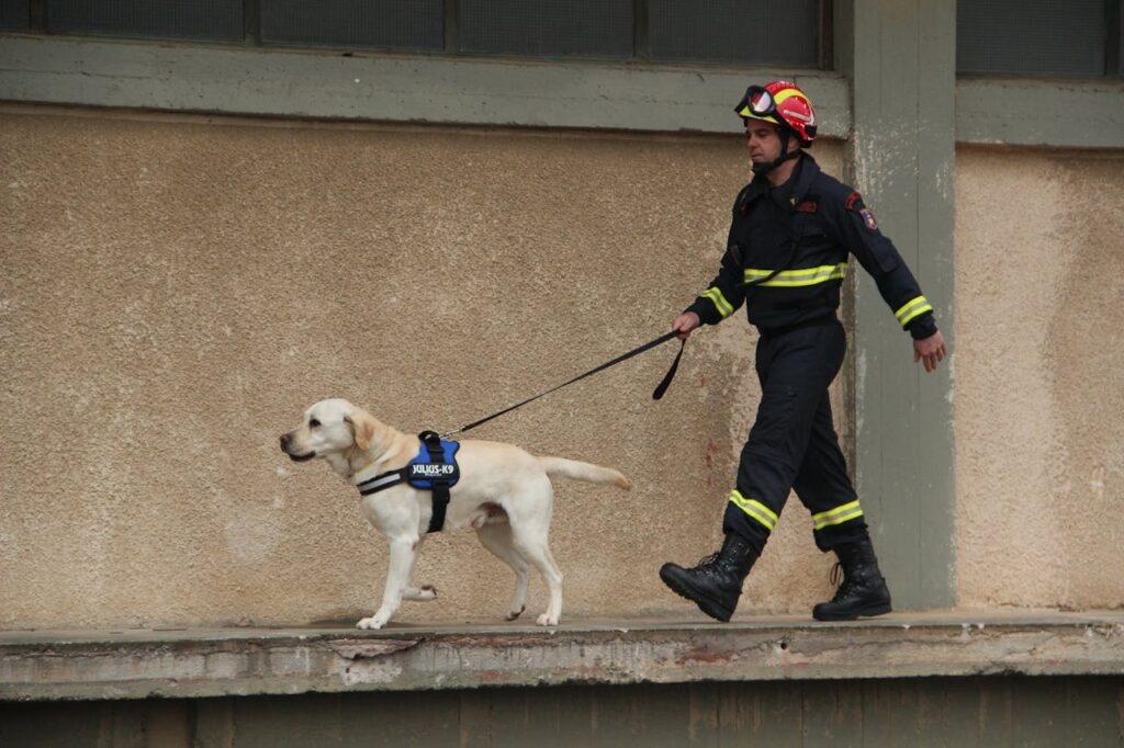 A Firefighter Walking a Dog // Healthier Veterans Today